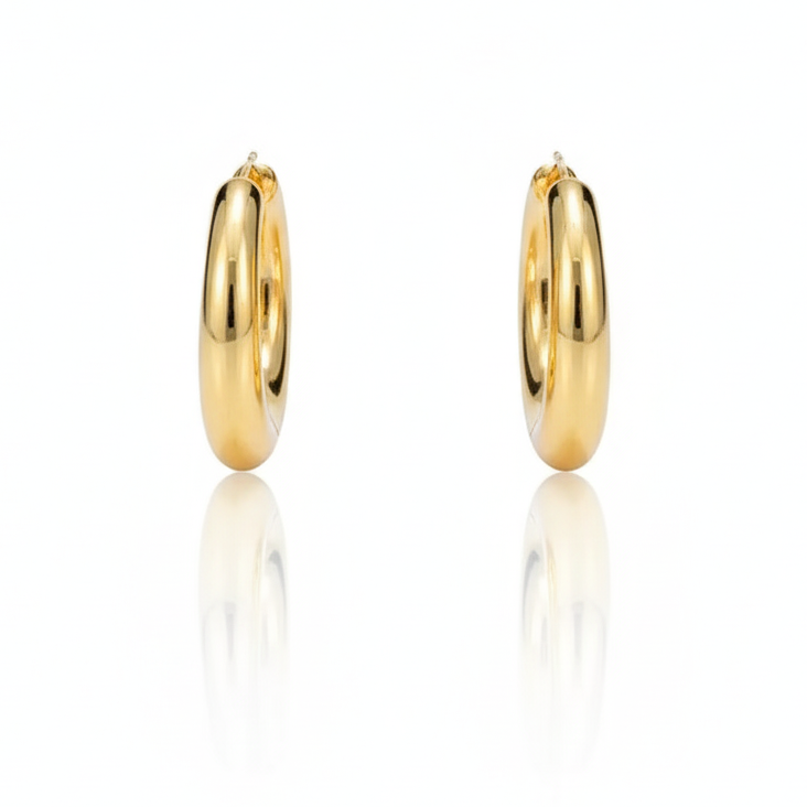 Aretes Argolla