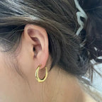 Aretes Argolla