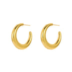 Aretes Argolla