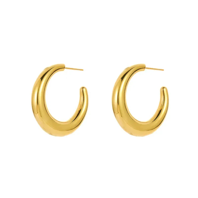 Aretes Argolla