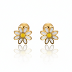 Aretes Fldu