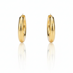 Aretes Argolla