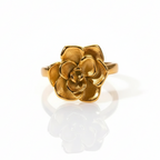 Anillo Floranza