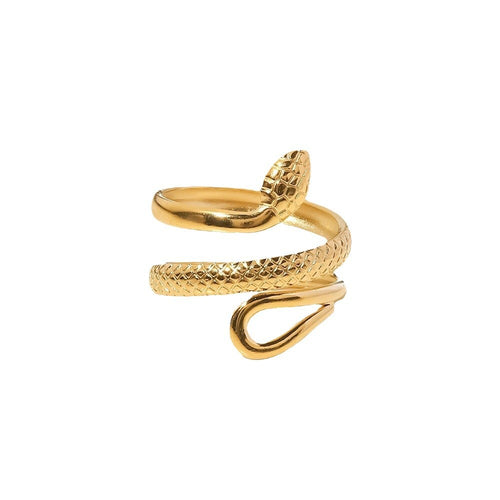 Anillo Chic