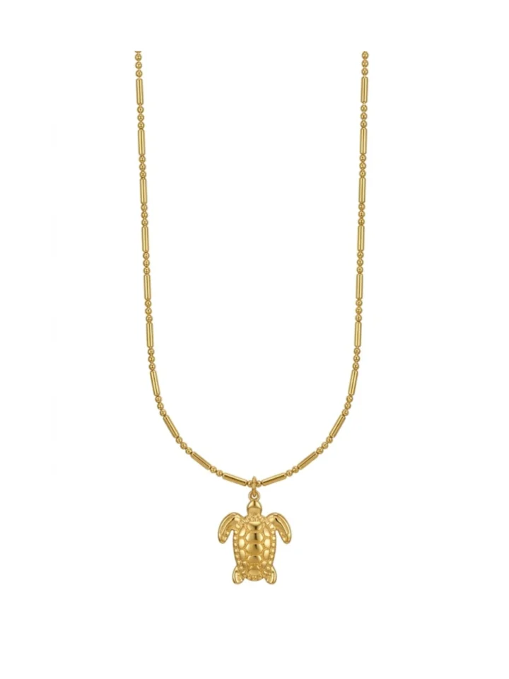 Collar Tortuga Stainless Steel